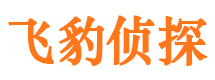 镇巴市侦探调查公司